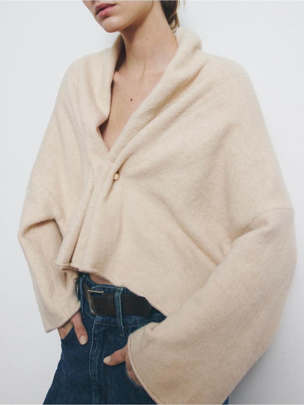 Zara Ecru Knit Cardigan Gold Appliqué Shawl Collar Cropped Sweater Pin Closure M